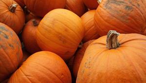 Pumpkins - credit: Flickr/ScotGovRural Matt Cartney (CC by 2.0)